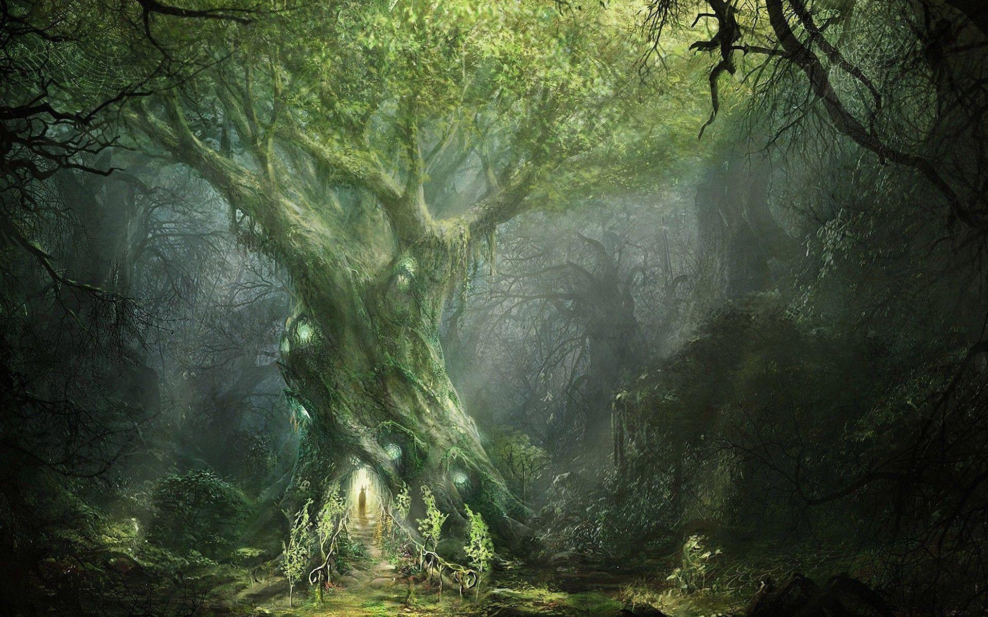 Lord Of The Rings Wallpapers HD Wallpaper Cave