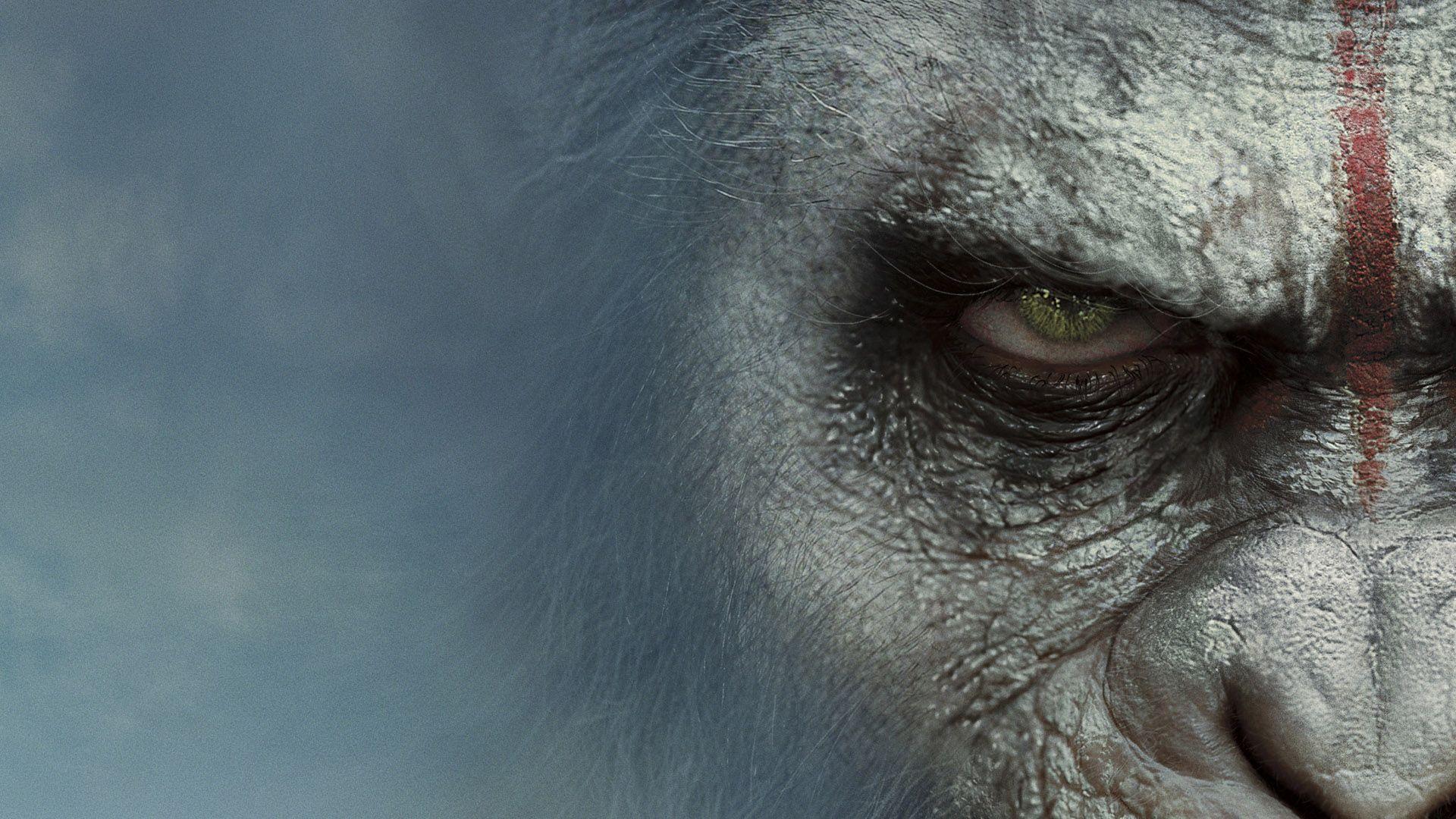 Caesar Of The Apes Wallpapers Wallpaper Cave