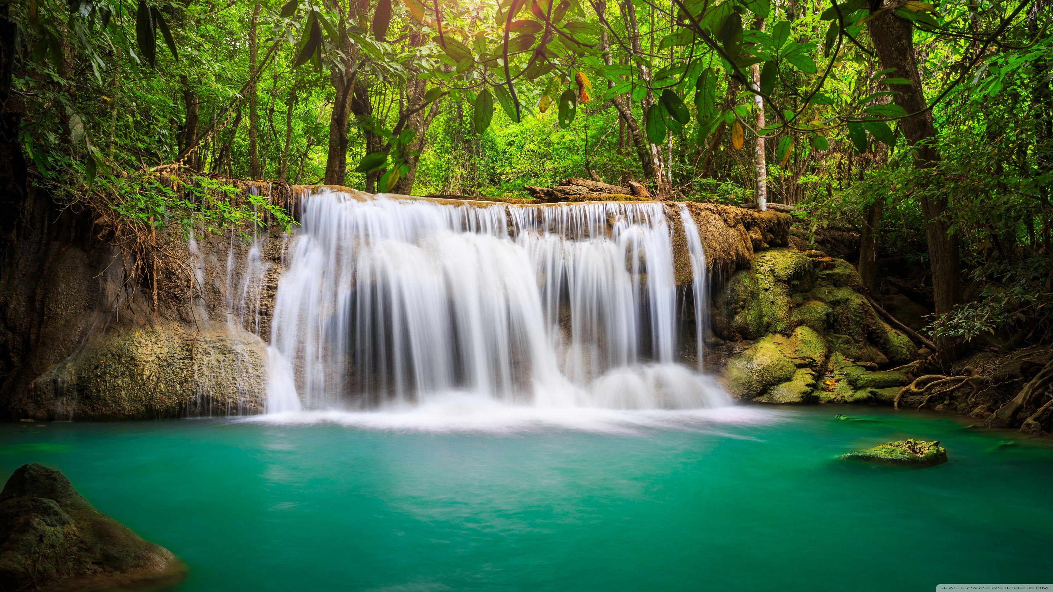 Rainforest Waterfall Wallpapers Wallpaper Cave