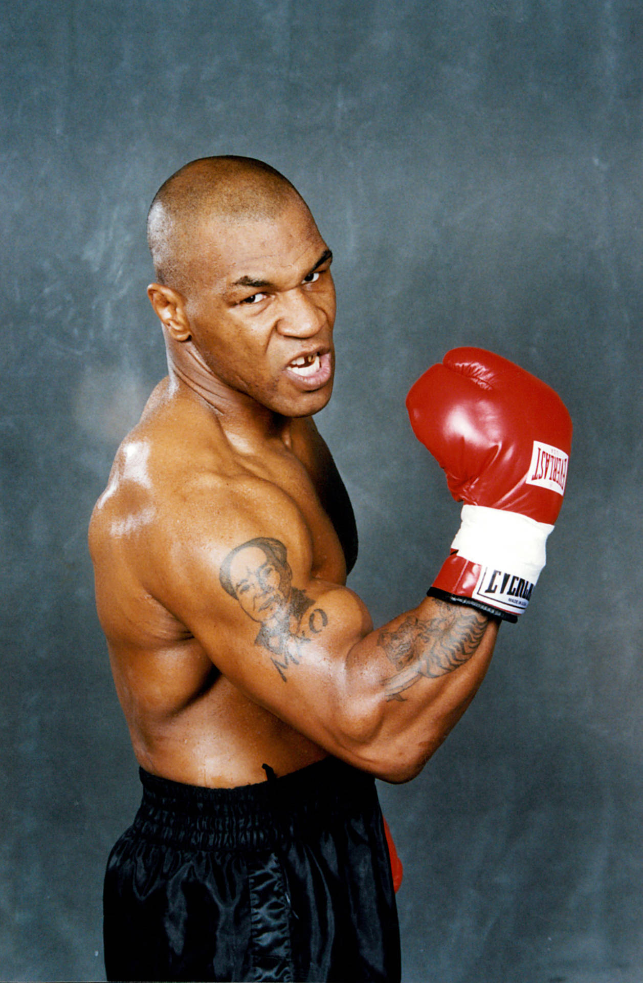 Details 85+ mike tyson wallpapers in.cdgdbentre