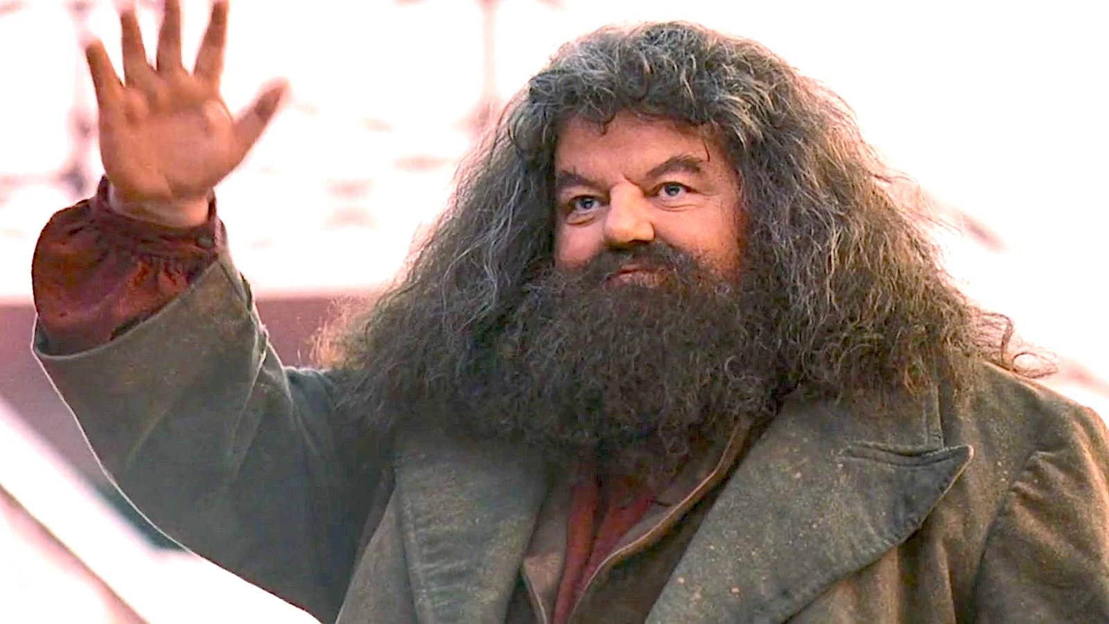 Which 'Harry Potter' Actors Have Died?