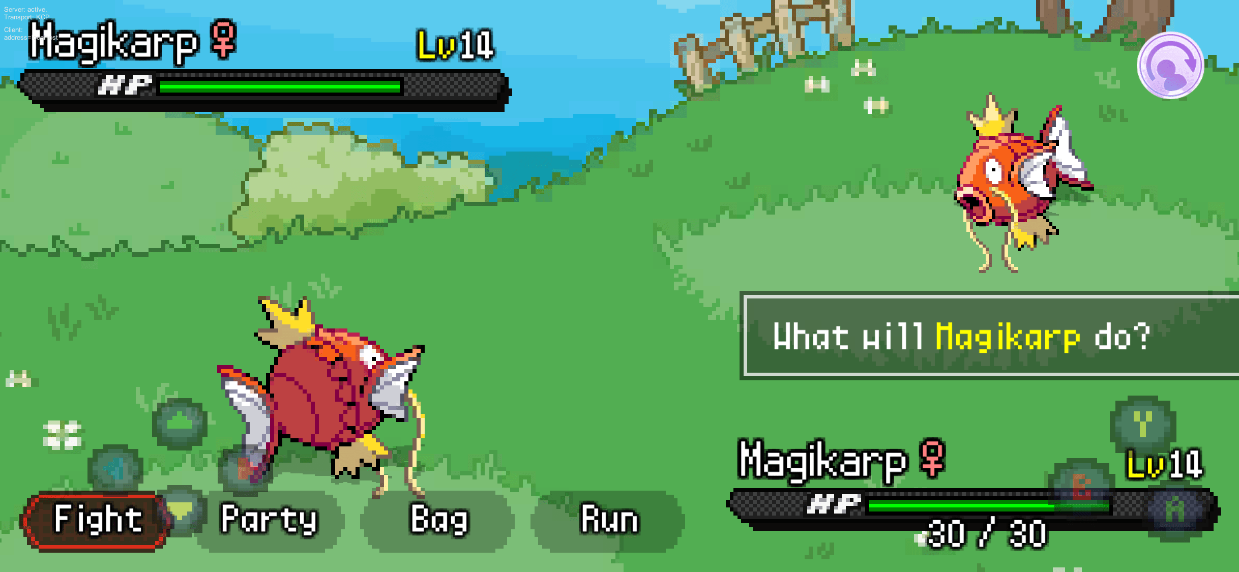 Pokémon Battle Simulator Whack a Hack!