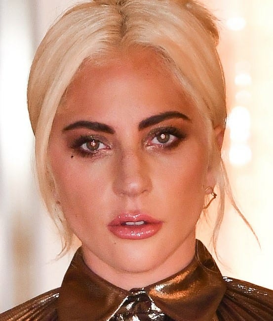 Lady Gaga Wiki, Age, Birthday, Education, Career, Family Life Wikiake