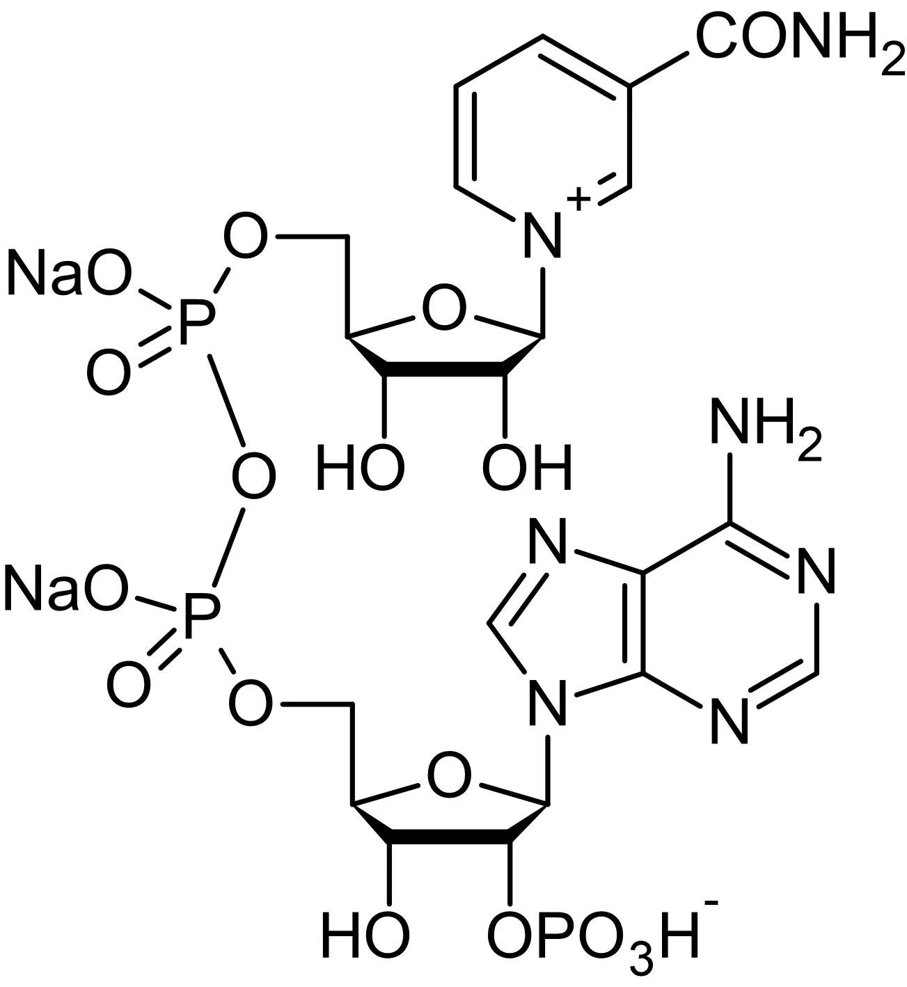 NADP, Coenzyme (CAS 24292602) (ab146316) Abcam