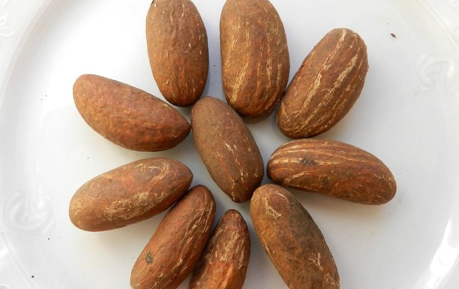 7 incredible benefits of "bitter kola" on your health Afrinik
