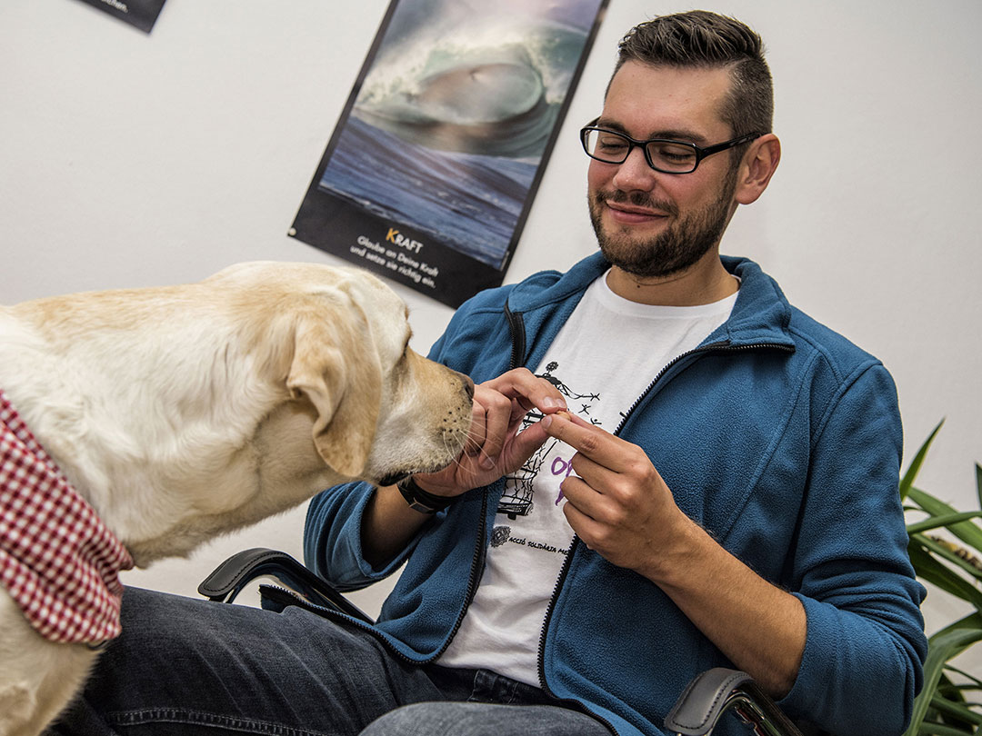 Tiergestützte Therapie