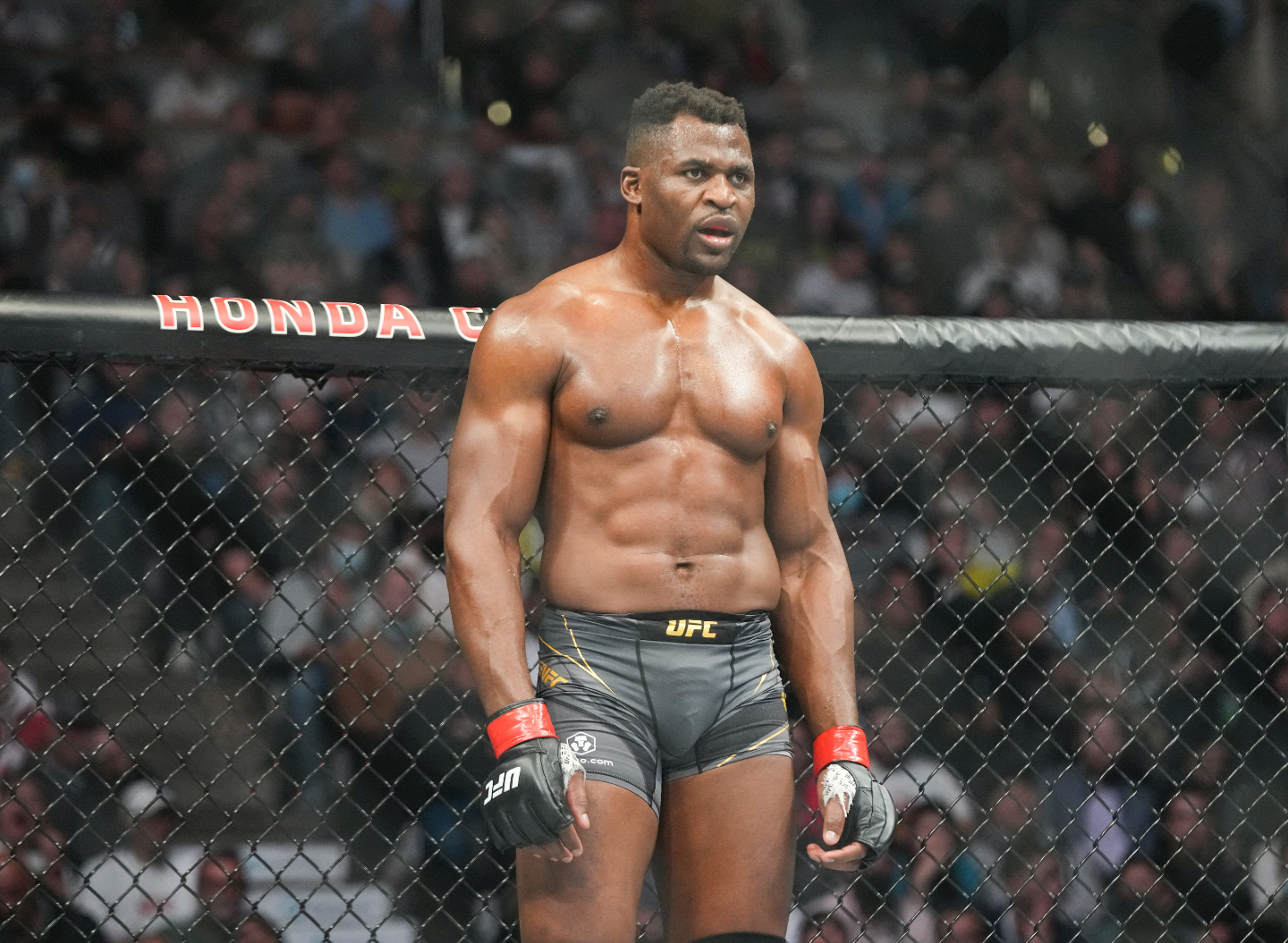 Francis Ngannou désigne son GOAT en MMA