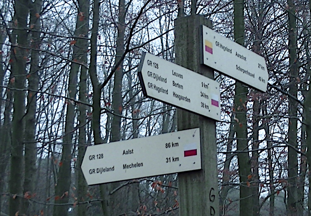 wandelboom