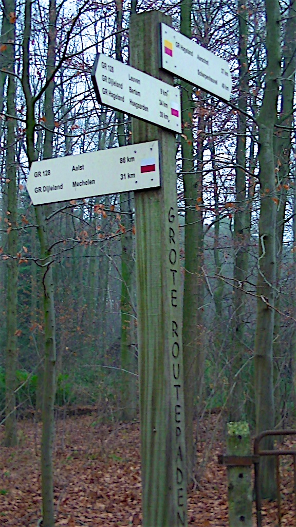 GR 128 Vlaanderenroute Wandelboom