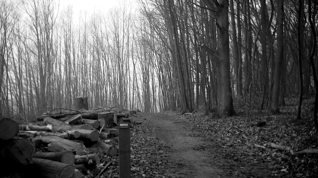 GR 128 Vlaanderenroute