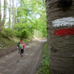 Grote Routepaden Bierbeek