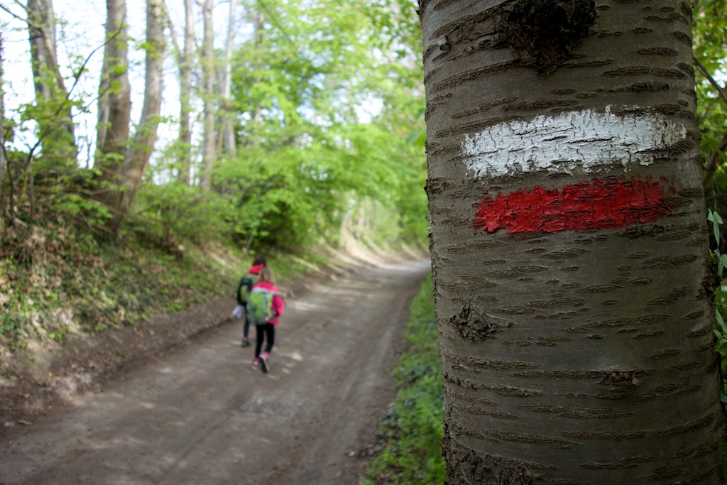 Grote Routepaden Bierbeek