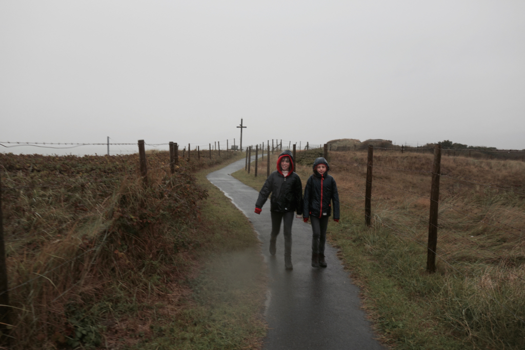 Duinen