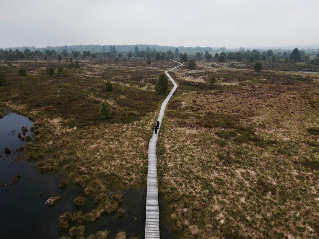 Königliches Torfmoor