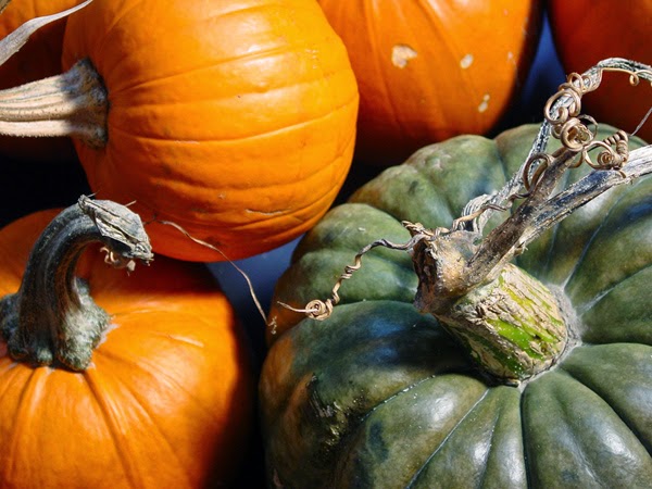 PUMPKINS (©) 2007, JUDY BARNES BAKER