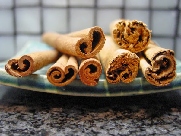 cinnamon (CarbWarsCookbooks.com)