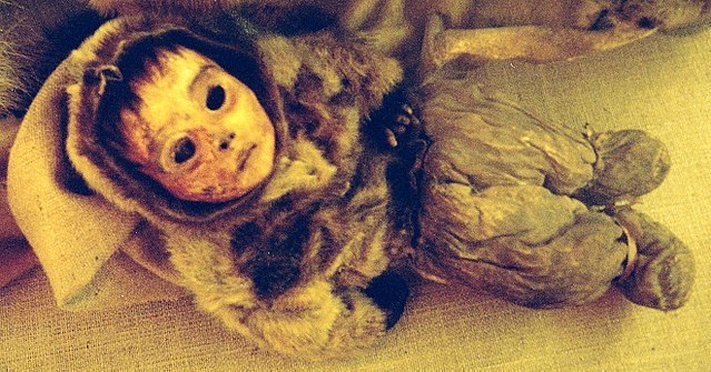 Qilakitsoq Mummy of Six Month Old Baby - on preventing aging