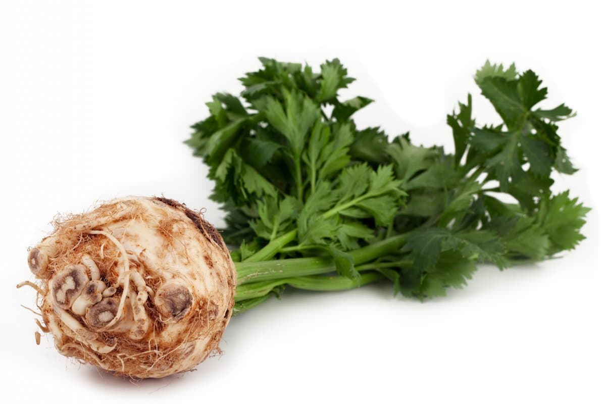Celery Root (Image credit: Wikipedia)
