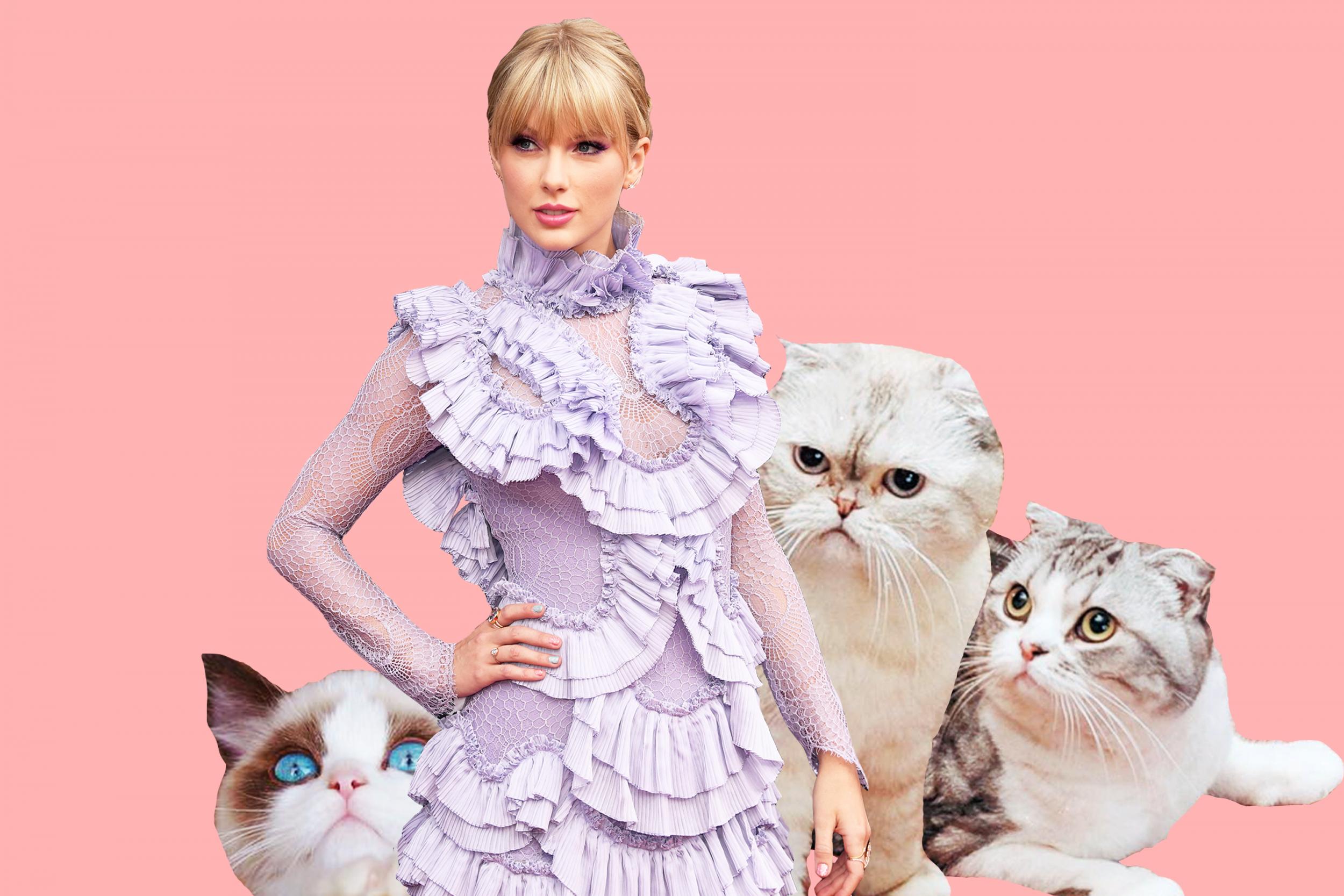 What Are Taylor Swifts Cats Names Cats World Club