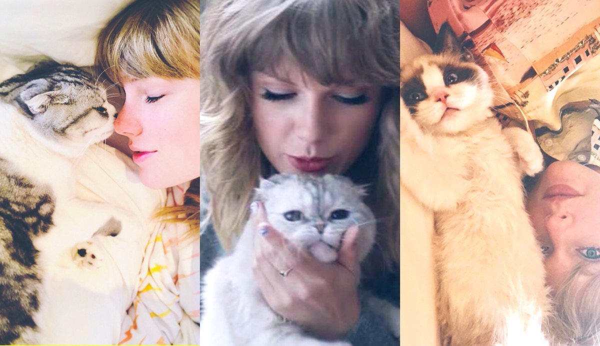 What Are Taylor Swifts Cats Names Ellery Apple's Blog