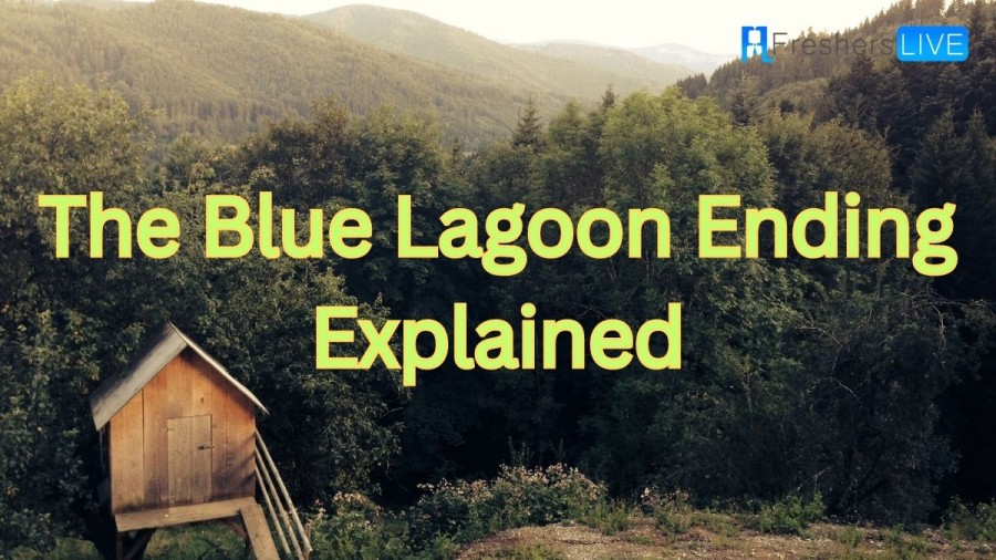 The Blue Lagoon Ending Explained, Plot Summary, Cast, and More
