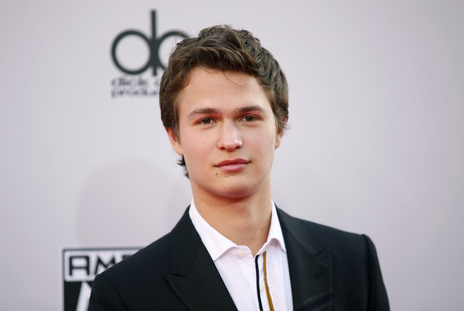 Ansel Elgort Age 2023, Family, Net Worth, Height