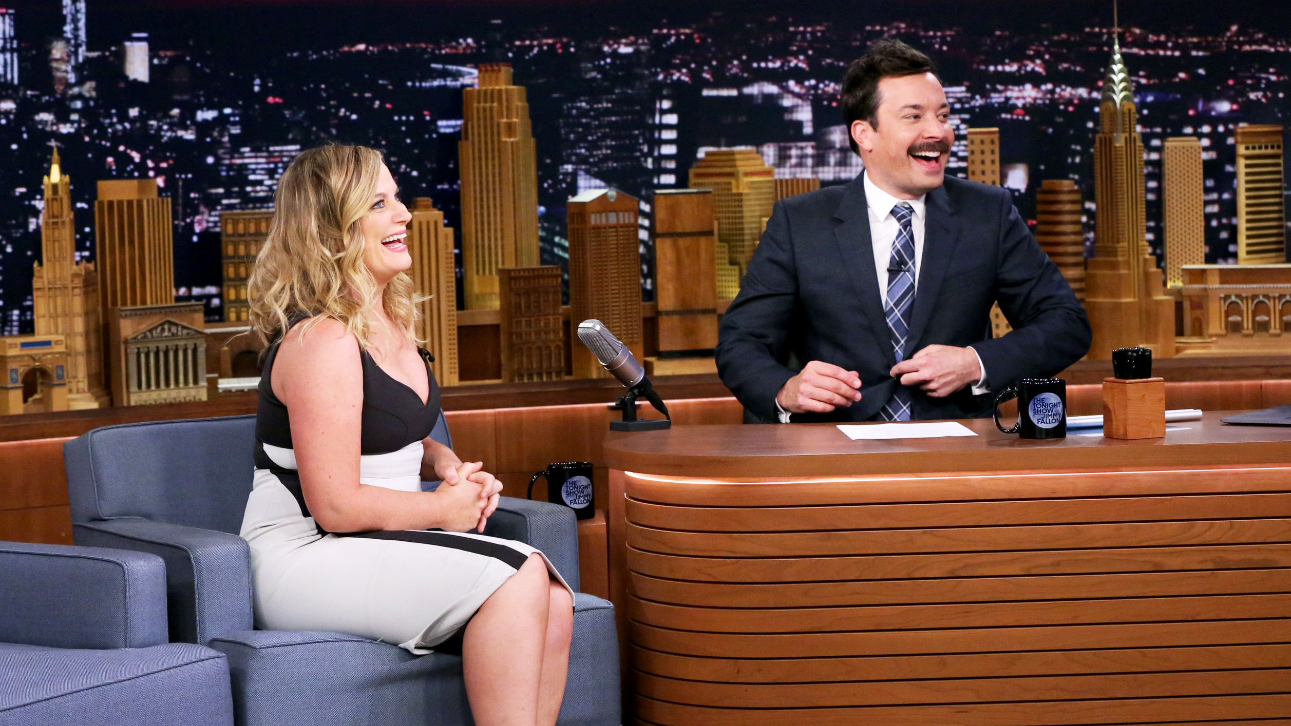 Is Amy Poehler Pregnant With Baby No. 3? See the Pics!