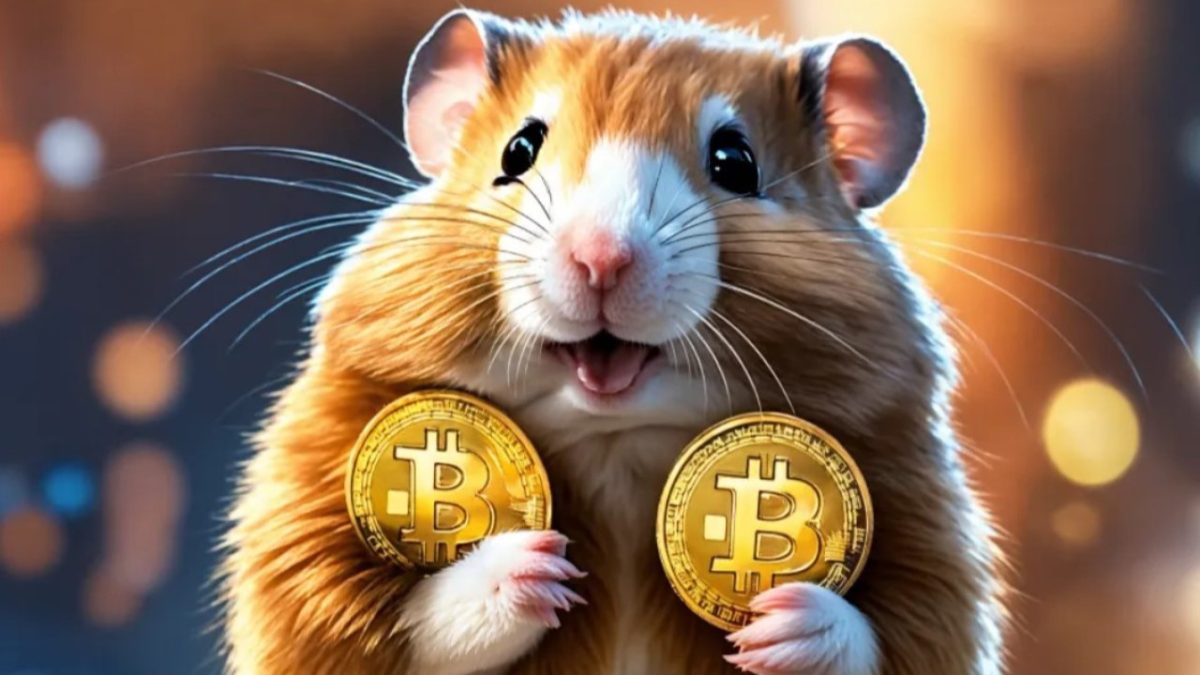 A Comprhensive Guide Donde esta Influencers en Hamster Kombat