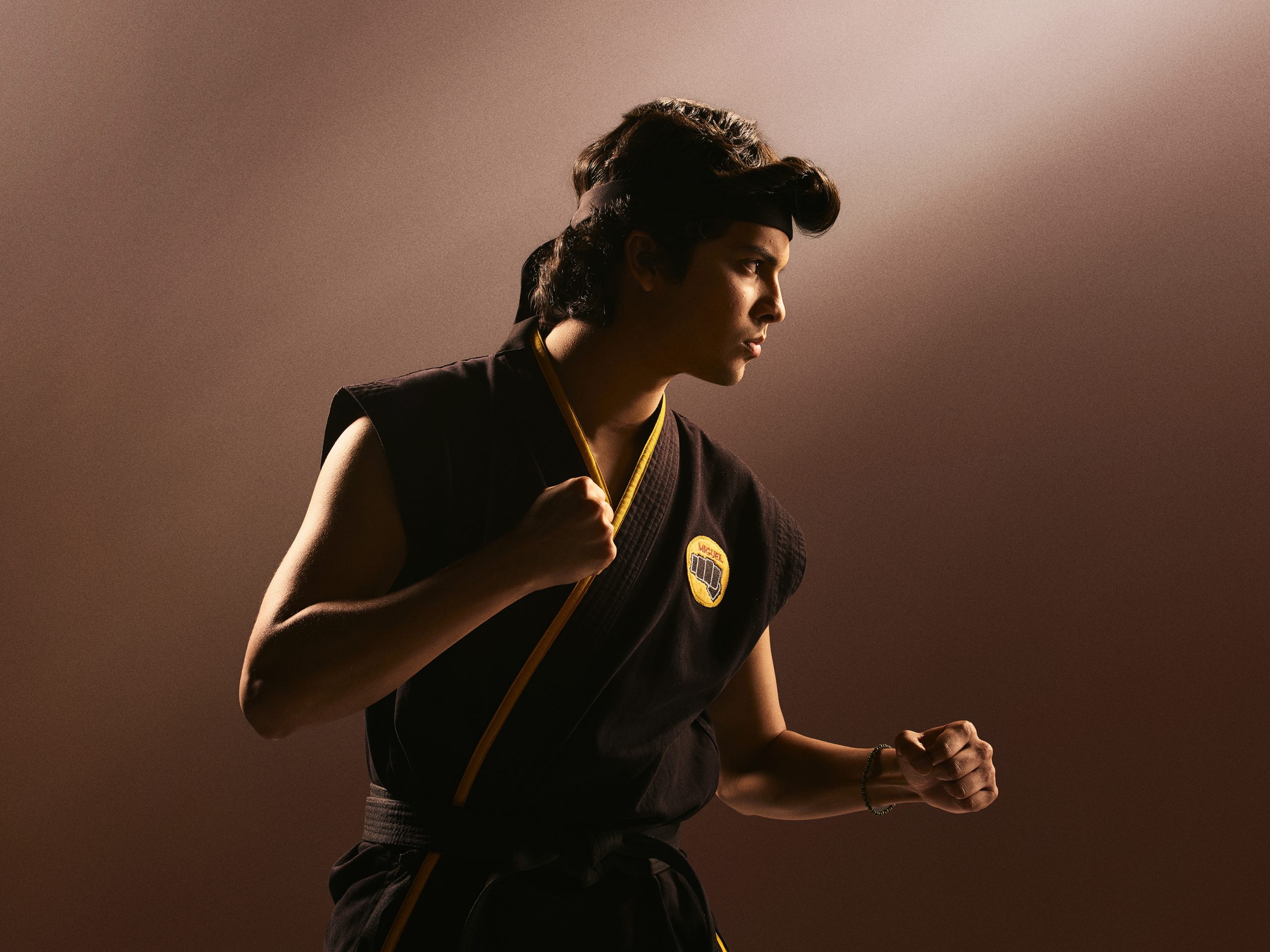 Cobra Kai Season 2 Poster