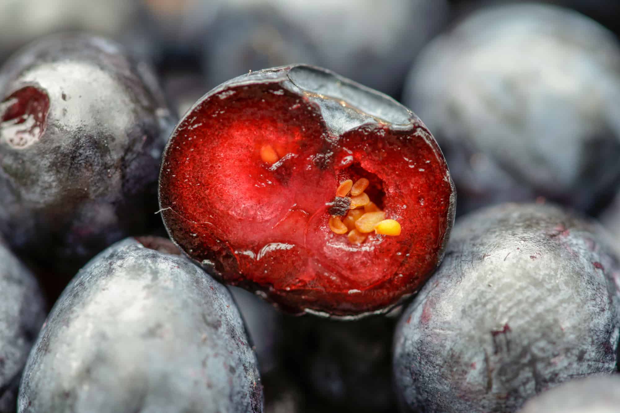 What Does the Inside of a Blueberry Look Like? Healing Picks