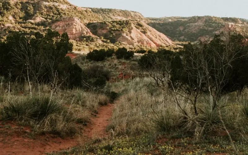 Why Doesn T Texas Have Basements? (Explanation Inside!)