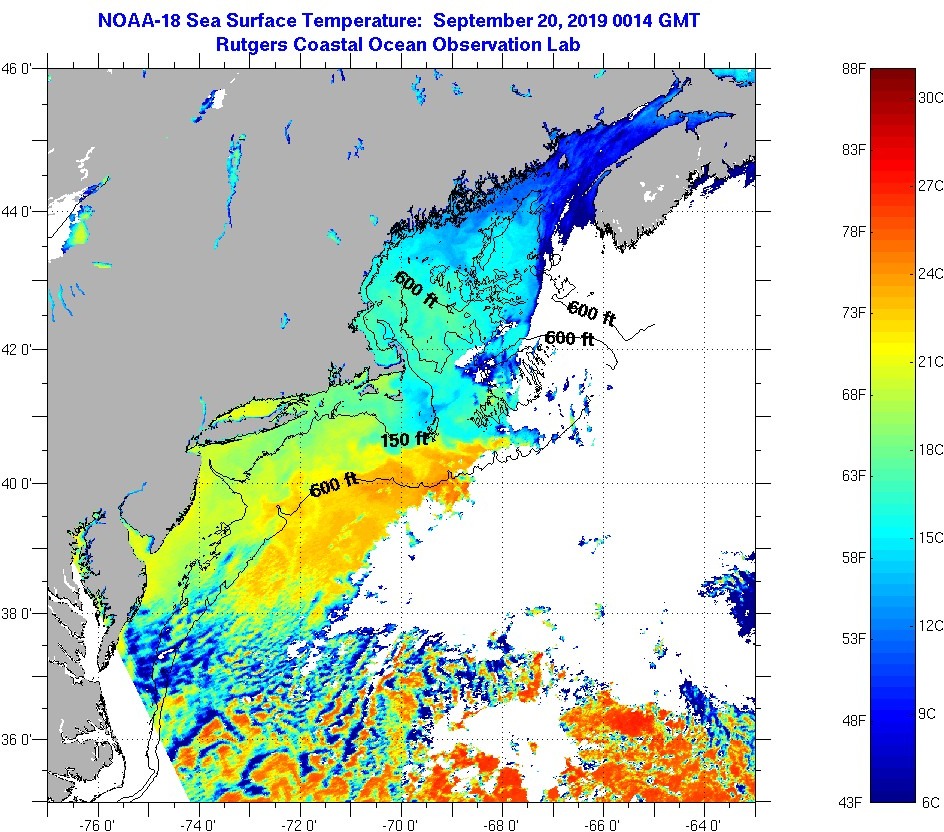Coastal And Bay Water Temperatures Are Dropping Delaware Surf Fishing Com