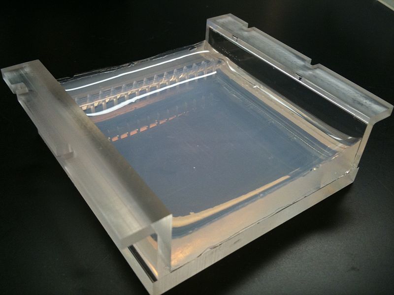 Difference Between Agar and Agarose_Fig 02