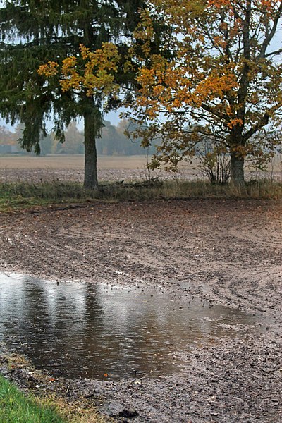 Key Difference Between Acid Rain and Normal Rain