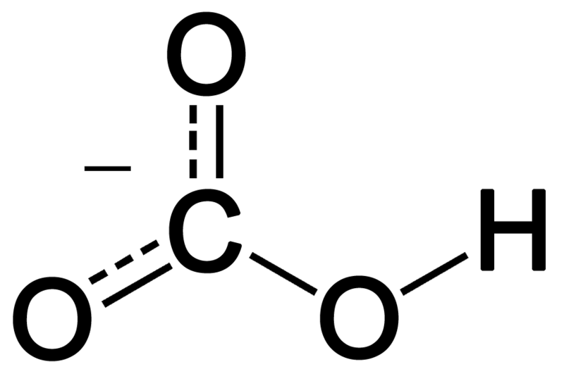 Difference Between Carbonate and Bicarbonate