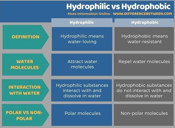 Difference Between Hydrophilic and Hydrophobic - Tabular Form