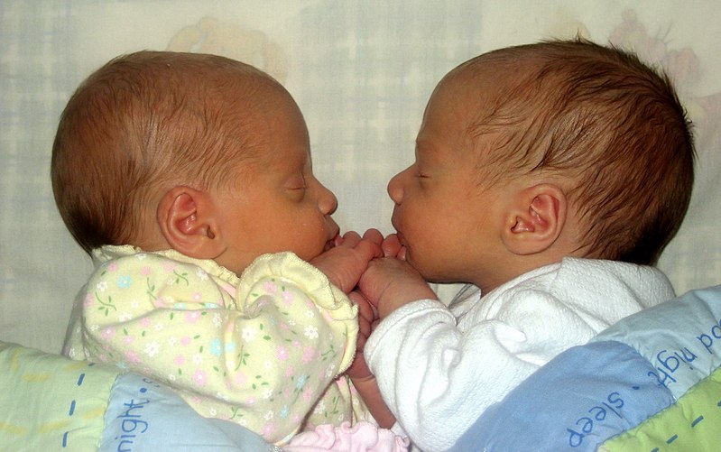 Difference Between Monozygotic and Dizygotic Twins