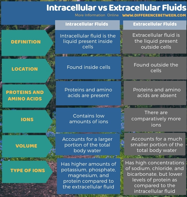 Difference Between Intracellular and Extracellular Fluids -Tabular Form