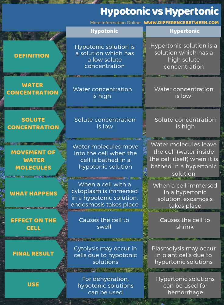 Difference Between Hypotonic and Hypertonic in Tabular Form