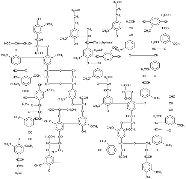 Difference Between Lignin and Cellulose 