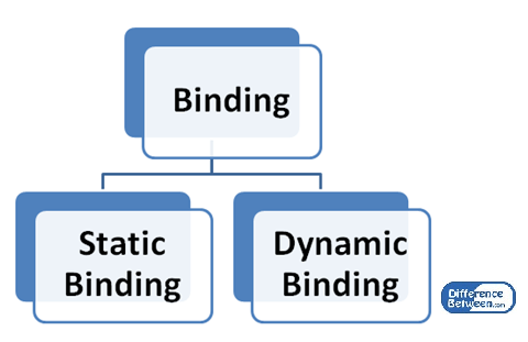 Difference Between Static Binding and Dynamic Binding