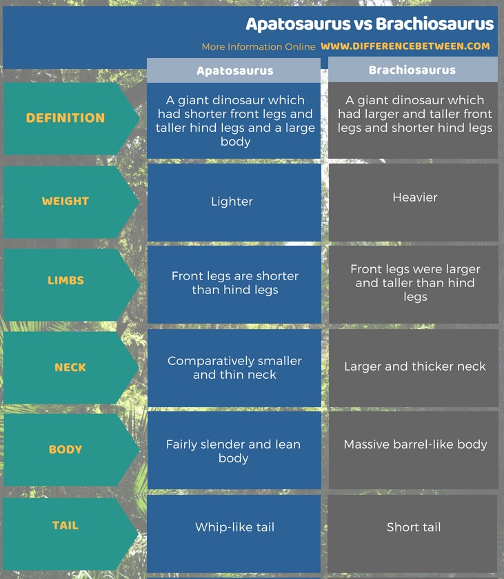 Difference Between Apatosaurus and Brachiosaurus in Tabular Form