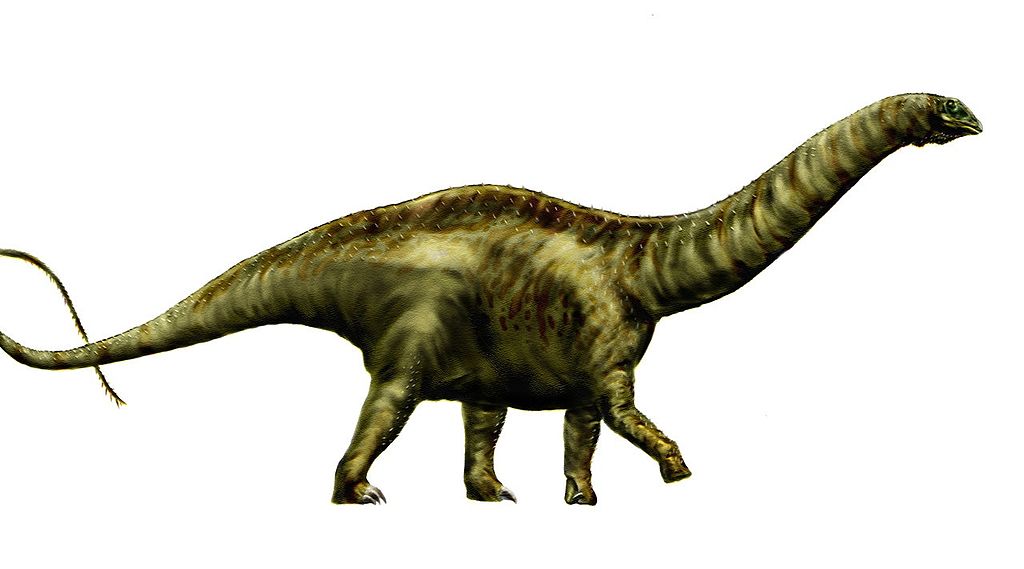 Difference Between Apatosaurus and Brachiosaurus