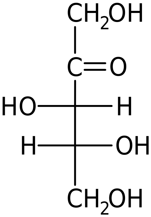 Difference Between Monosaccharide and Polysaccharide