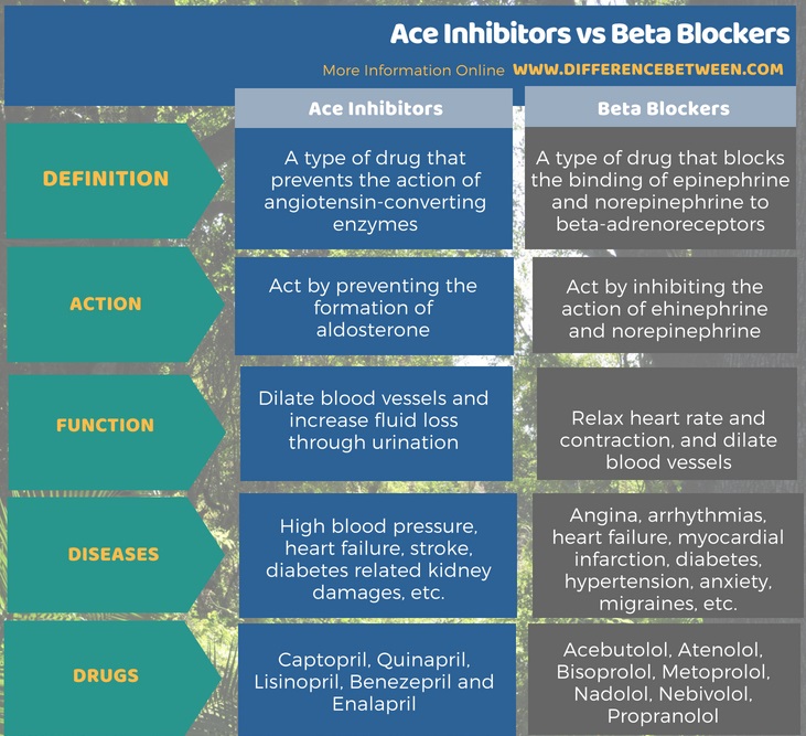 Difference Between Ace Inhibitors and Beta Blockers in Tabular Form