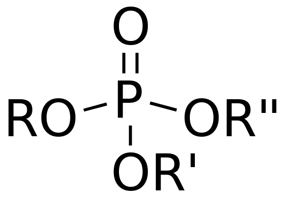 Difference Between Organic and Inorganic Phosphate