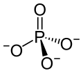 Key Difference Between Organic and Inorganic Phosphate