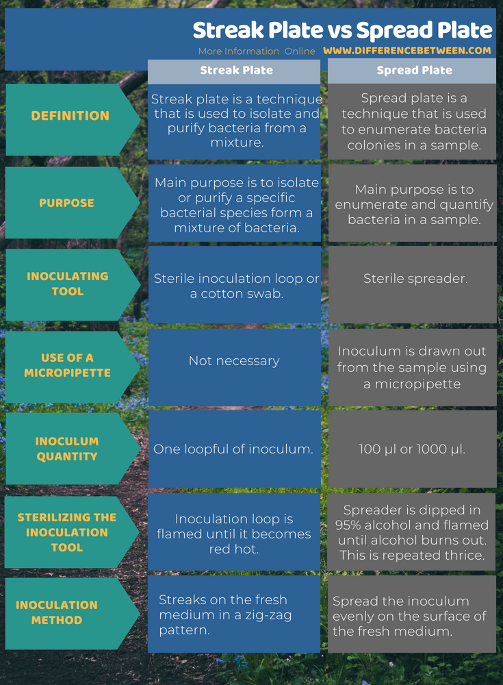 Difference Between Streak Plate and Spread Plate in Tabular Form