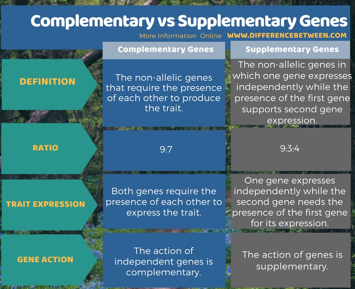 Difference Between Complementary and Supplementary Genes in Tabular Form