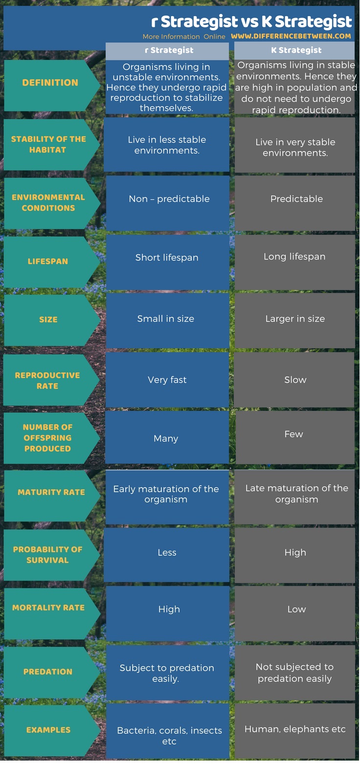 Difference Between r Strategist and K Strategist in Tabular Form